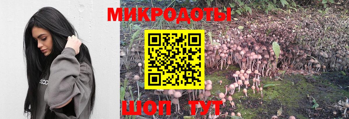 Фролово  купить  сайты  Вход с VPN  Галлюциногенные грибы MAGIC MUSHROOMS  Псилоцибиновые грибы ЛСД 